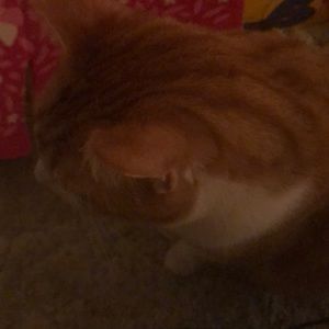 Meet your Posher, Kristin